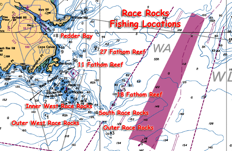 Protection Island Salmon Fishing Map For Ebb Tide